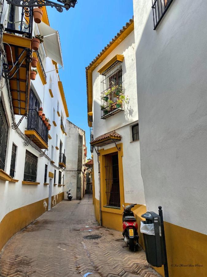 Apartamento San Clemente Sevilla Dış mekan fotoğraf