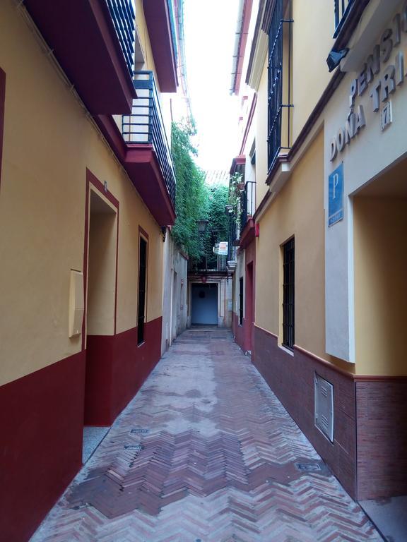 Apartamento San Clemente Sevilla Dış mekan fotoğraf
