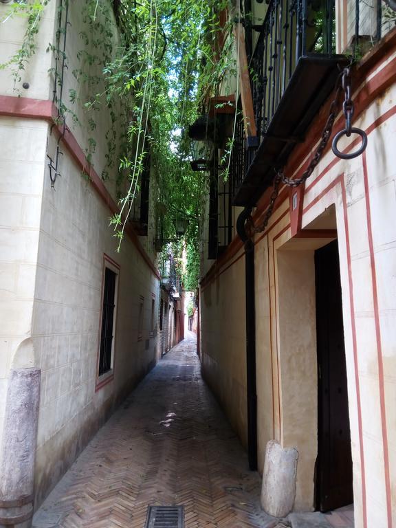 Apartamento San Clemente Sevilla Dış mekan fotoğraf