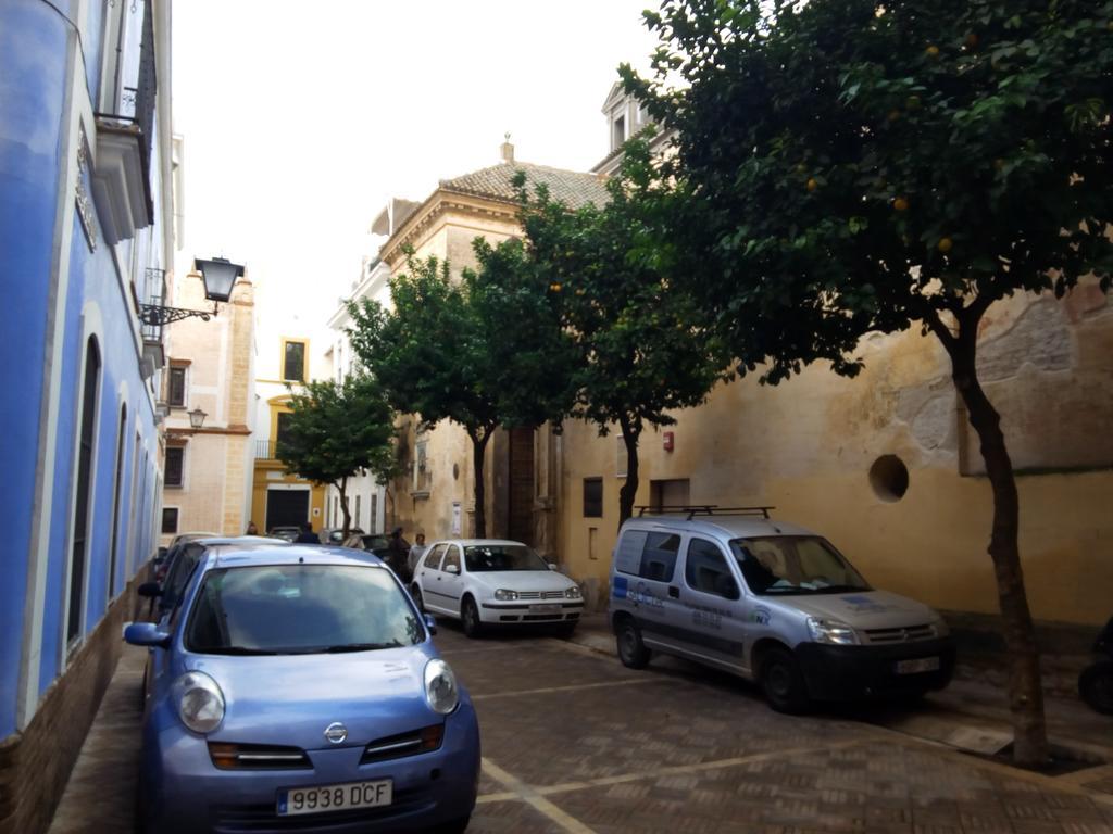 Apartamento San Clemente Sevilla Dış mekan fotoğraf