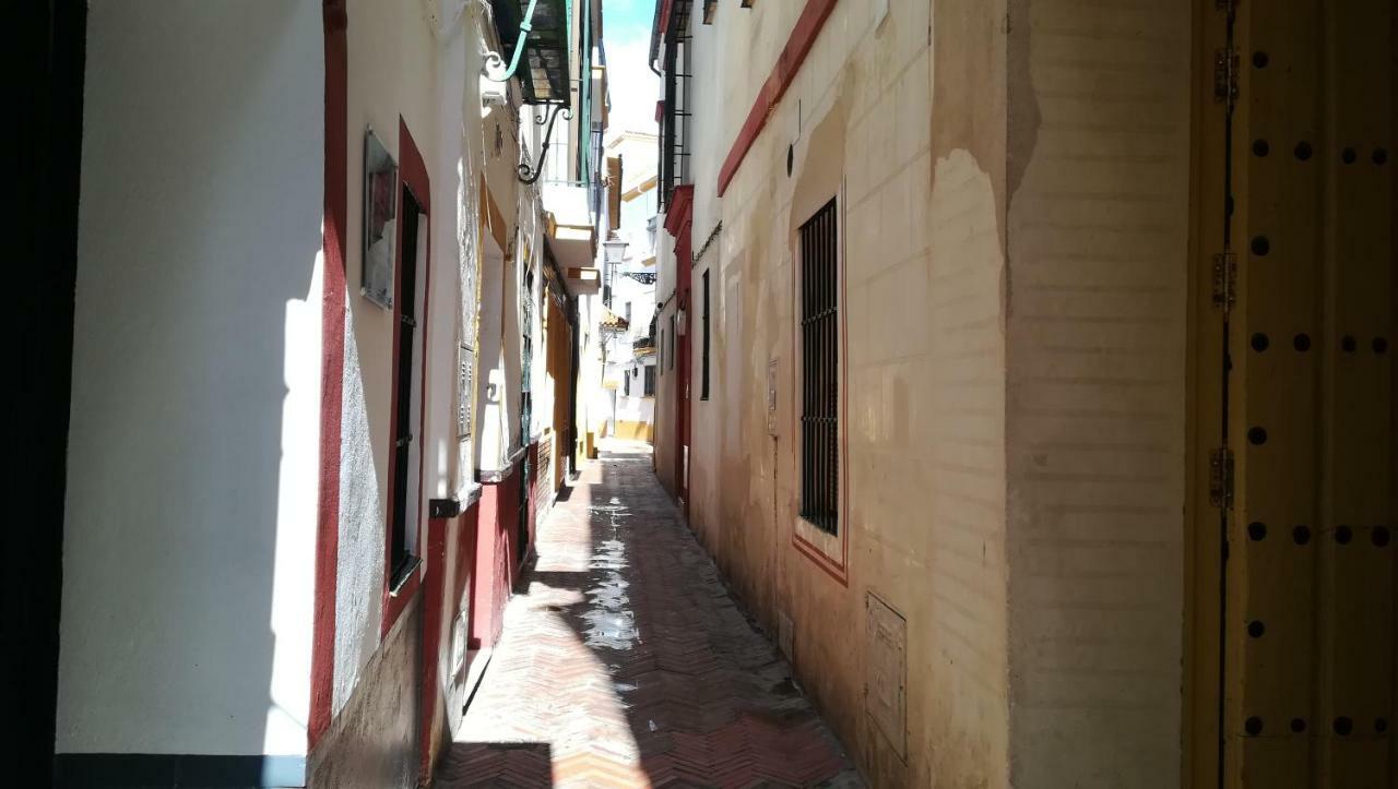Apartamento San Clemente Sevilla Dış mekan fotoğraf